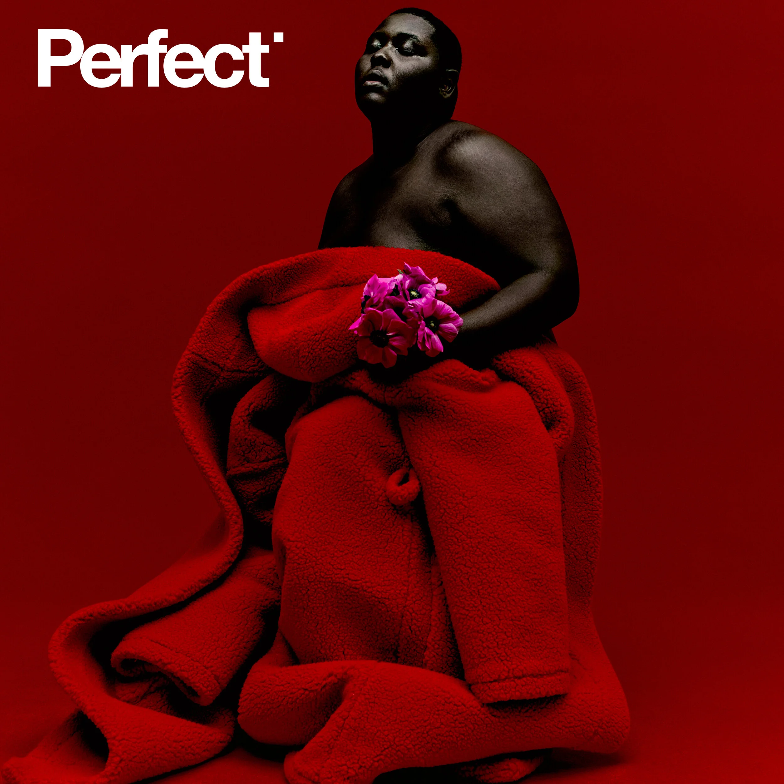 洋楽 Colour Perfect Should've Been Good 1995 洋楽 Colour Perfect Should've Been Good 1995 MHN-WGL-PNTN-032